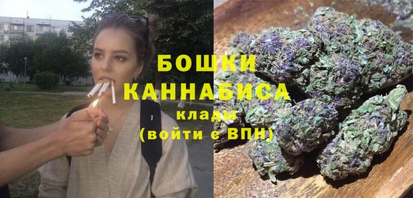 PSILOCYBIN Волосово