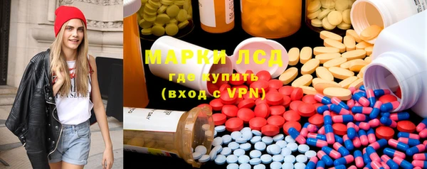 PSILOCYBIN Волосово