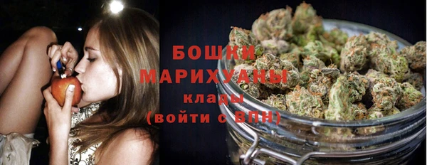 PSILOCYBIN Волосово