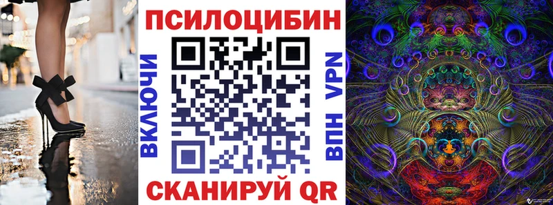 Галлюциногенные грибы Psilocybine cubensis  Чехов 